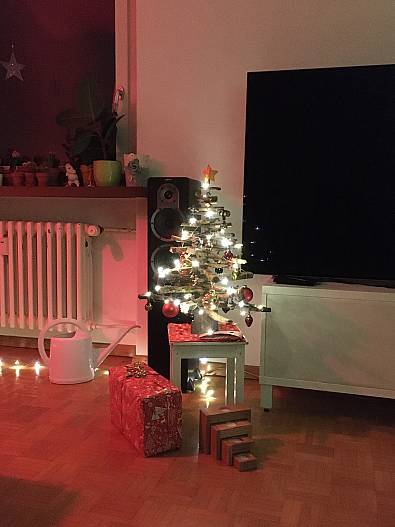 Der kleine X-Baum schmückt auch ein Wohnzimmer in Luzern