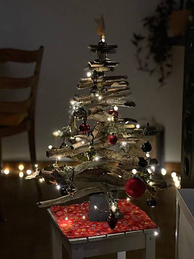 Der kleine X-Baum in Luzern